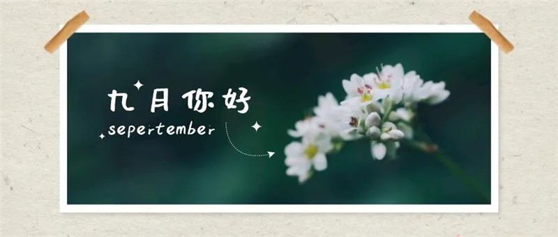九鼎9月特辑 | 清风明月，山河已秋，人间九月有幸事