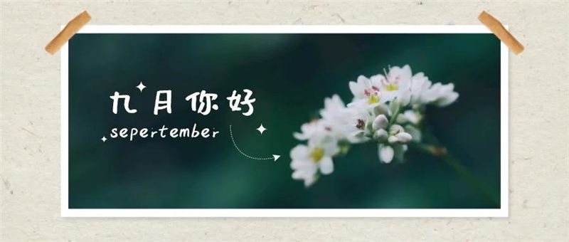 九鼎9月特辑 | 清风明月，山河已秋，人间九月有幸事